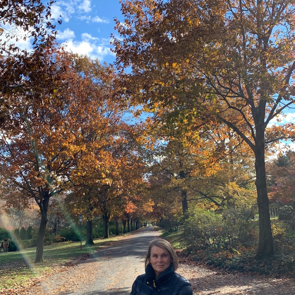 Meet your Posher, Domnica